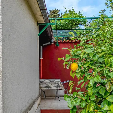 Amazing Home In Orebic With Wifi Vikendica